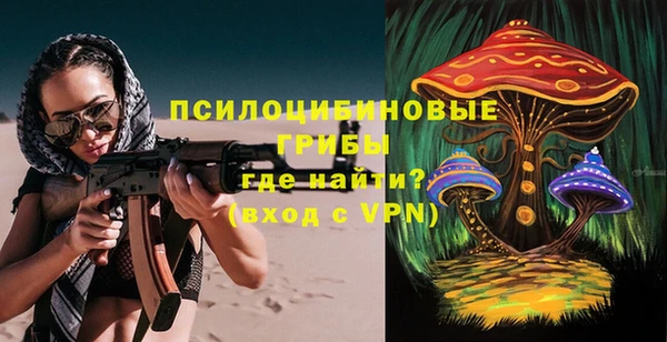 гидра Алексеевка