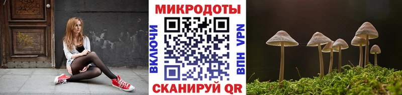 Галлюциногенные грибы Magic Shrooms  купить наркотики сайты  Ноябрьск 